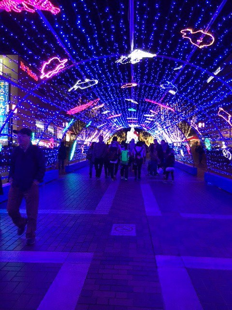 昨日光の中をお歩いてみました。
　　　♪　♪　♪　♪　♪　　　　　　
最近チョットしたお小遣いを得ました💃
あるサイトをお友達に紹介しただけでした。
興味が有ったらタップしてみてください。

bit.ly/2mMJhFd