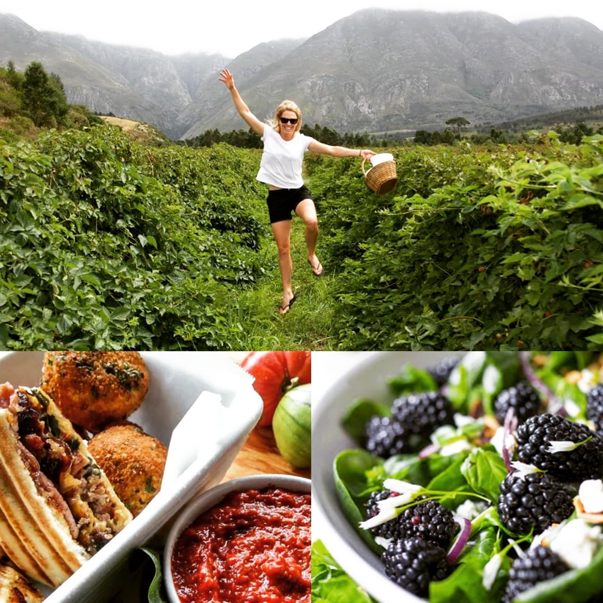 kyk_noord's tweet photo. We're having fun experimenting with fresh berries this week. See you at the #berryfestival in #swellendam this #november #kyknoord #foodtruck #capetraderoute https://t.co/ldCzxyiIyi