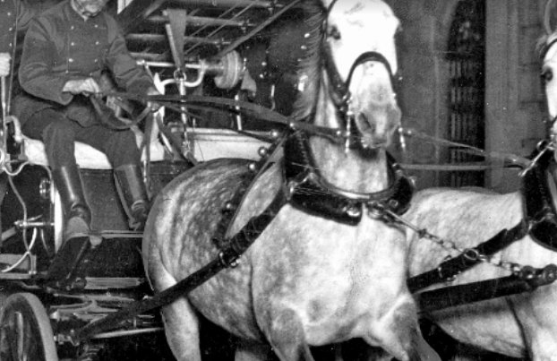 RT <a href="/erikbryn/">Erik Brynjolfsson</a>: Will Humans Go the Way of Horses? My article with <a href="/amcafee/">Andrew McAfee 🇺🇦</a> in <a href="/ForeignAffairs/">Foreign Affairs</a>

foreignaffairs.com/articles/2015-…

#2MA #AI #MITAIJobs