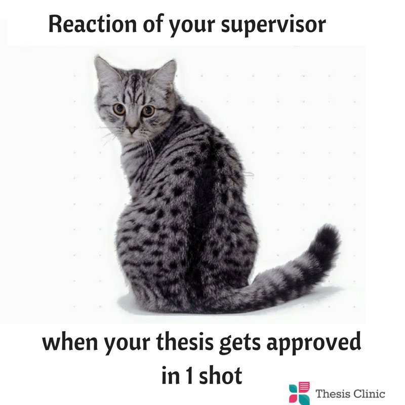 thesisclinicuk's tweet photo. What's about yours? #PhDfun #PhD #PhDLife #Thesis #Editing #Writing #ReviewPaper #StatisticsHelp #PhD 
https://t.co/BkJh6C3UjC https://t.co/EWWvUrzb9i