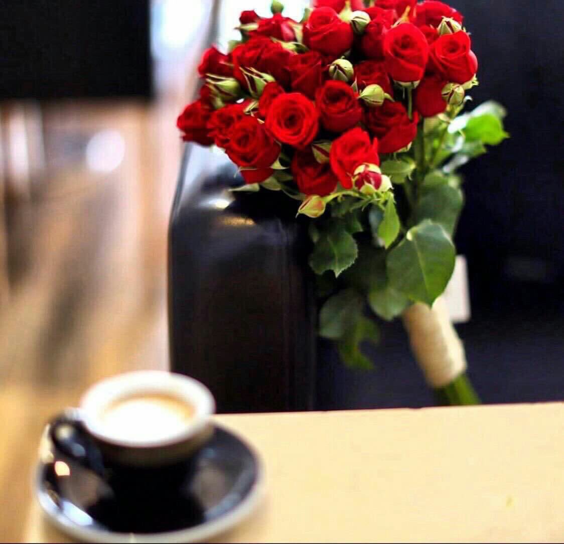 rayan__9910's tweet photo. @Rahaf_A990
خاطري 
والصبح يطلب حاجتين ..
صوتگ الذابل وفنجال قهوه .☕️🍃
#رسمتك_حلم 
#صباح_الخير♥️ https://t.co/kUeZfEBDJM