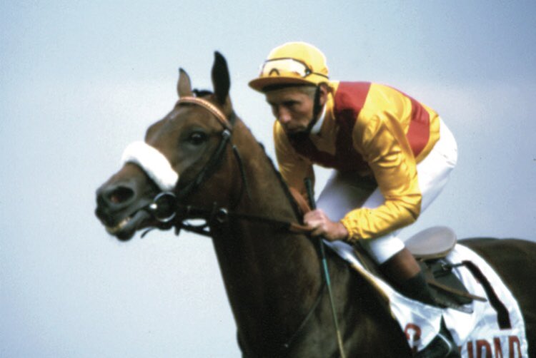 AgaloparTurf's tweet photo. Antonio Blasco (cuadra Rosales), el propietario más laureado del turf 🇪🇸
🏆58 grandes premios
🏆11 estadísticas 
🏆14 criador del año https://t.co/guwXK8BFum