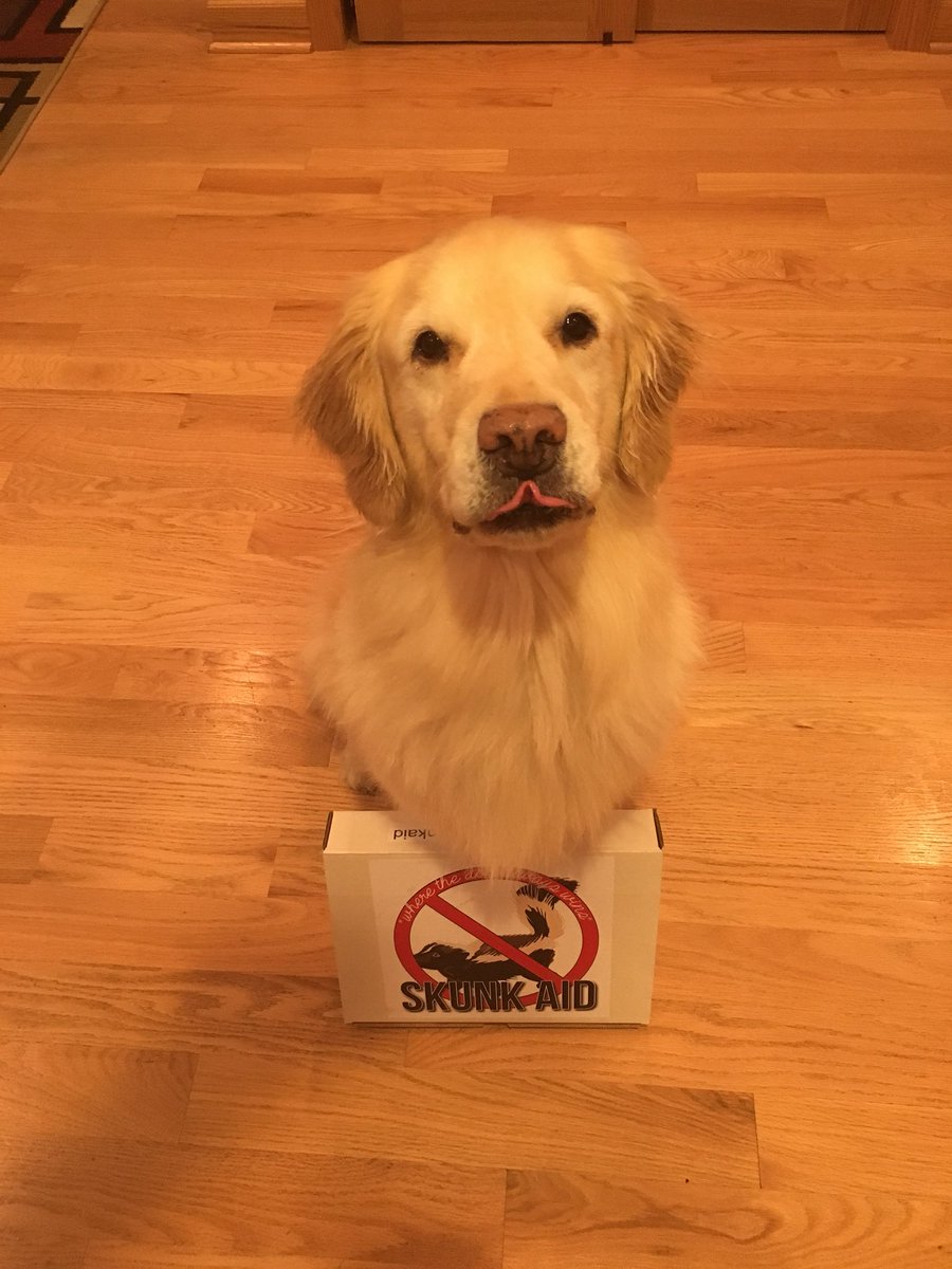 <a href="/skunkaid/">Skunk Aid</a> Thanks for your amazing product! We had one of the first Skunk Aid kits on hand in the garage. It was a lifesaver! Worth every penny.  Skunk Aid is a perfect holiday gift!@Roberts_BGbiz <a href="/BGbisonDECA/">BGHS DECA</a> <a href="/BGHSPrincipal/">Jeff Wardle</a>