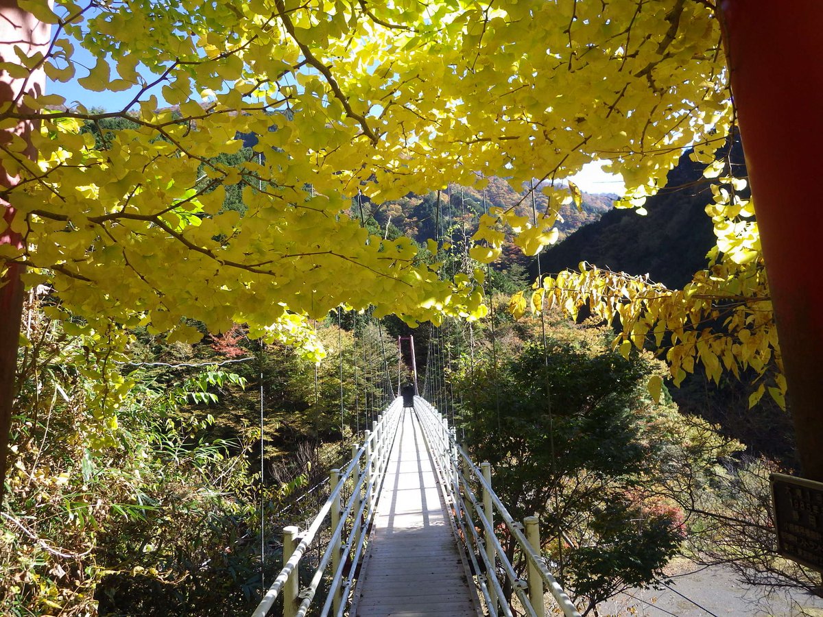 shizuokashikoho's tweet photo. 千代田消防署【しずはた山岳救助隊】です。しずはた山岳救助隊現地訓練を実施しました！今回は、葵区梅ケ島にある安倍の大滝から大光山経由、草木登山口へ降りてくる山道で訓練を行いました。
#静岡市 https://t.co/eOdz2lBkx1