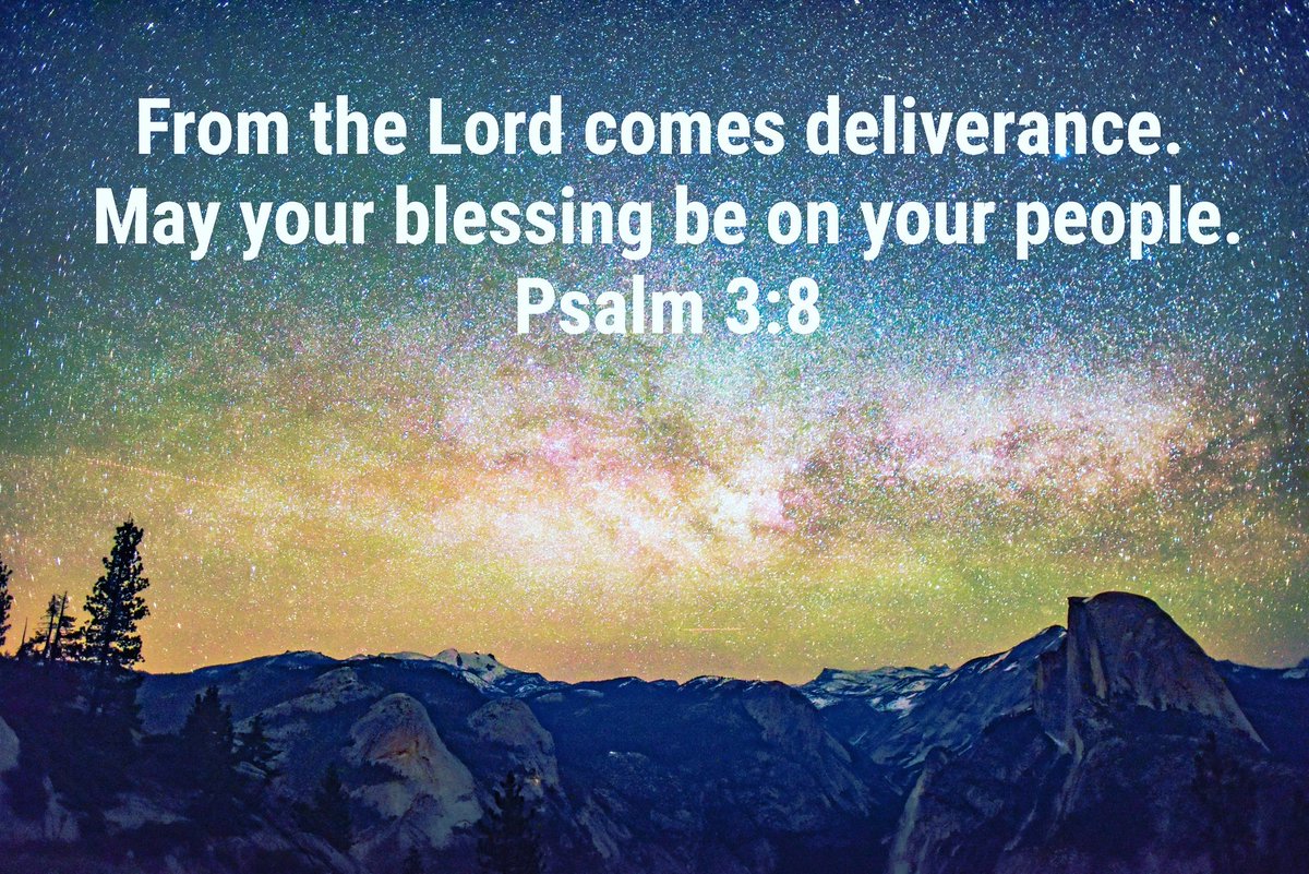 David Praise tweet media