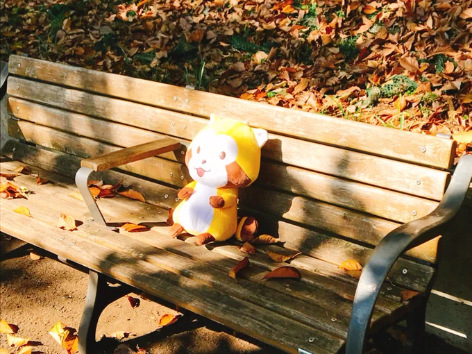 寒い日が多くなって、公園も人が少なくなってきたミャ。
もう秋も終わりかミャ。

#ラスカル 