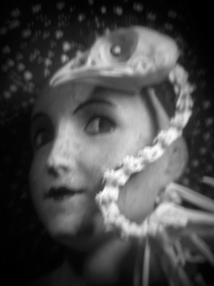 GABLABOR's tweet image. Diane Fenster