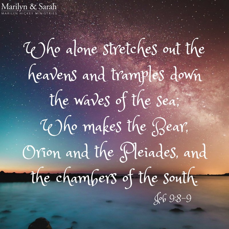 sparrow17 tweet media