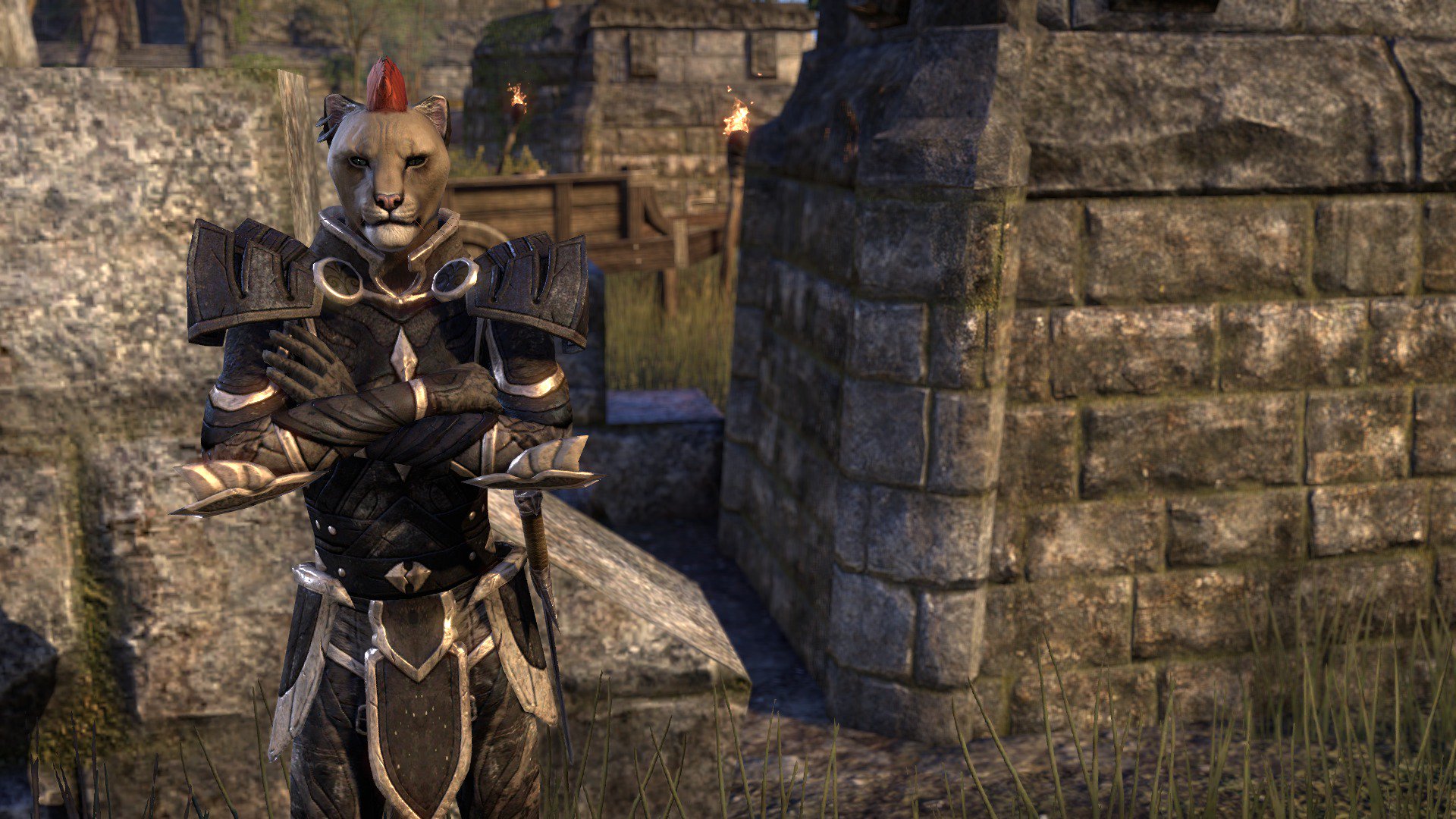 Eso 日本語版 公式 Sur Twitter Esoで一位二位を争う人気者 ラズム ダー の近影をご査収ください ラズ に会いに ケナーシズルーストに行きたくなってきました Eso Jp