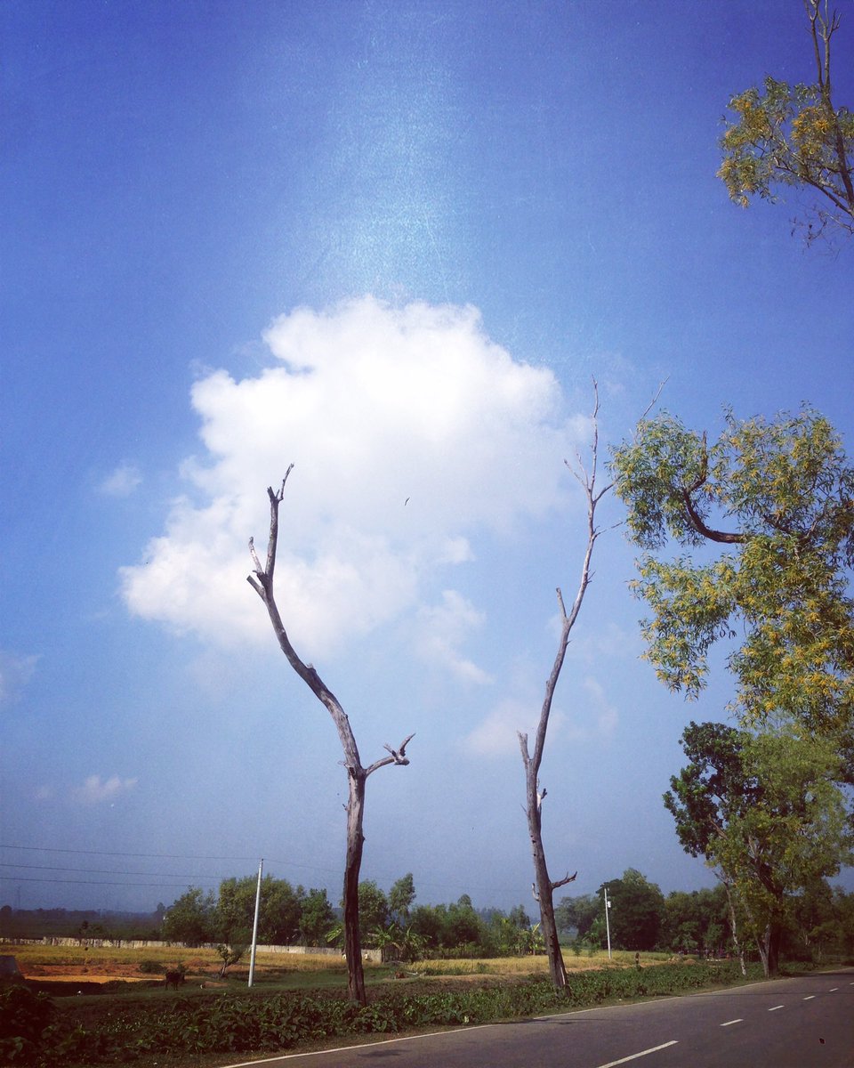iammkmithu's tweet photo. #bluesky https://t.co/OMPwgI7OJd