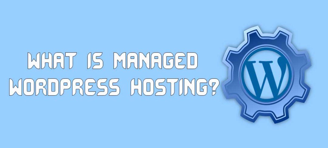 noah_jmp's tweet photo. Still wondering why businesses are opting for managed #WordPress Hosting. First know what is it? Then decide. #SMM
https://t.co/vTNfG9LQqo https://t.co/MjUkvNpkY9