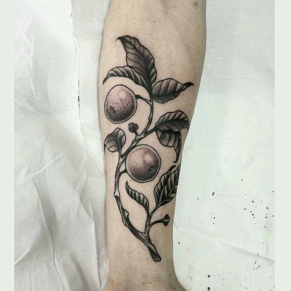 handstyletattoo's tweet photo. @philtattooist tattooed this loquat fruit! Original design by @kylelight.art that the client brought in with him. For bookings and queries, email handstyletattoos@gmail.com! https://t.co/HCKPm7VcYQ