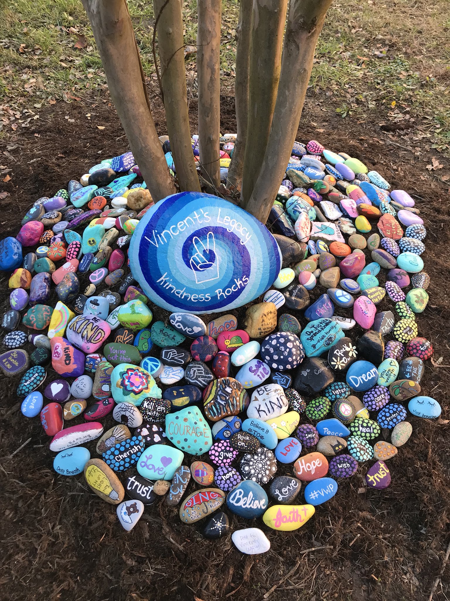 Vincents Legacy, Kindness ROCKS💚 🏻 on Twitter: "Our 2nd Kindness ROCKS