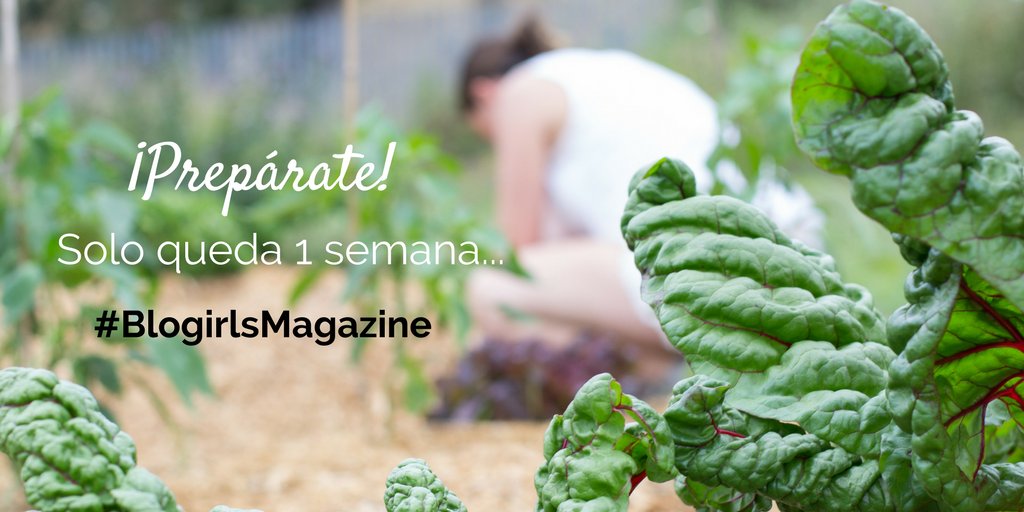 BlogirlsMag's tweet photo. Ya podemos anunciar que el próximo martes 28 de noviembre lanzamos el 10º número de nuestra #BlogirlsMagazine 🎉
Estamos súper felices y creemos que os gustará, así que permaneced atentas 😉 https://t.co/Eb60HWyuii