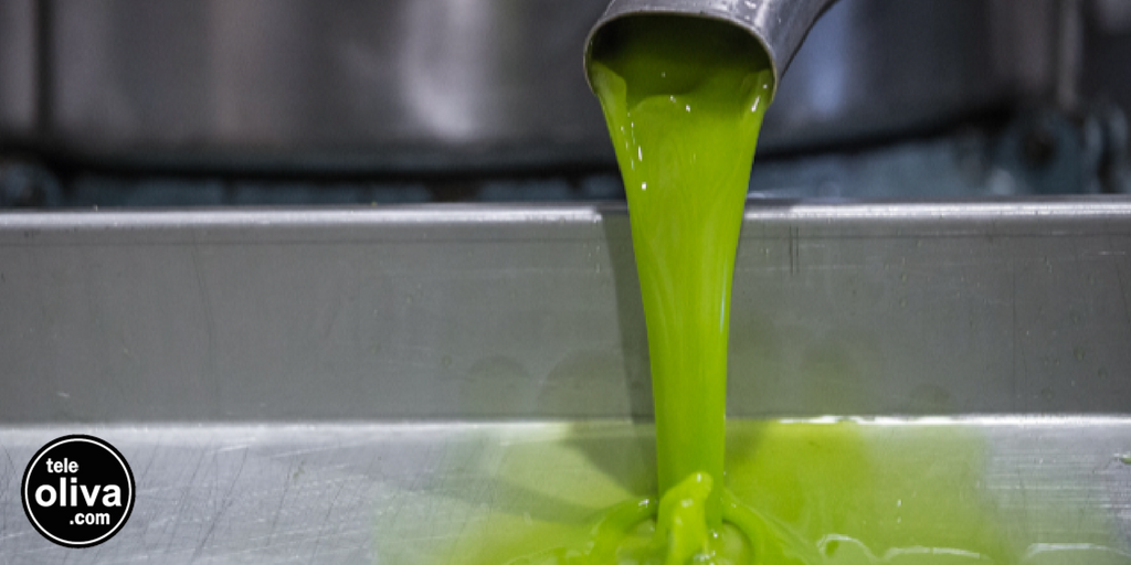 teleoliva's tweet photo. 📣 ¡Atención, atención! Están aquí los primeros productos de la NUEVA COSECHA. Ya está de nuevo disponible nuestro aceite premium Oleomoon en botellas de 500 ml. ¡No esperes más y hazte con el tuyo! 
➡ https://t.co/2SnAo5tDwt https://t.co/ccjr0kyJbe
