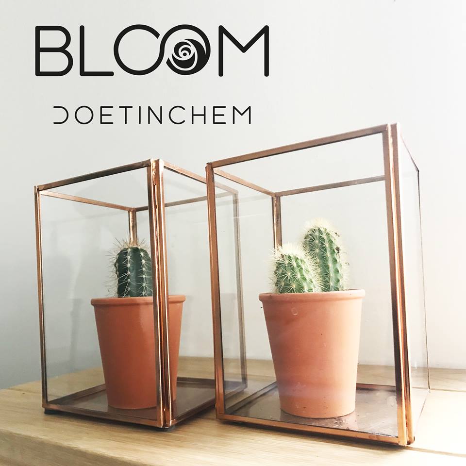 W A U W! 😍 Een veel verkocht product bij Bloom Doetinchem; cactussen in een windlicht! Ook erg leuk om cadeau te doen!