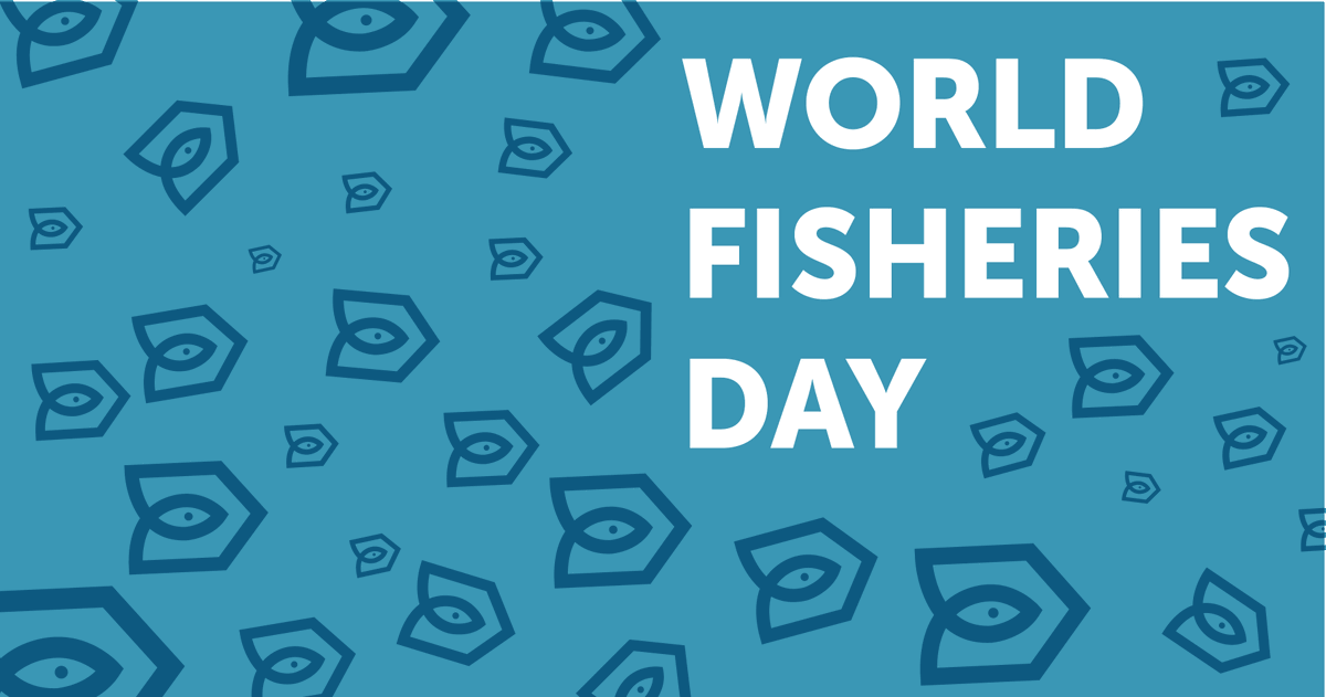 day, in the World Fisheries Day, we should reflect on how the world should manage global fisheries to ensure the sustainability of fish stocks. Actually is something we should do everyday and one of the main questions we tackle from Fishing Accelerator.