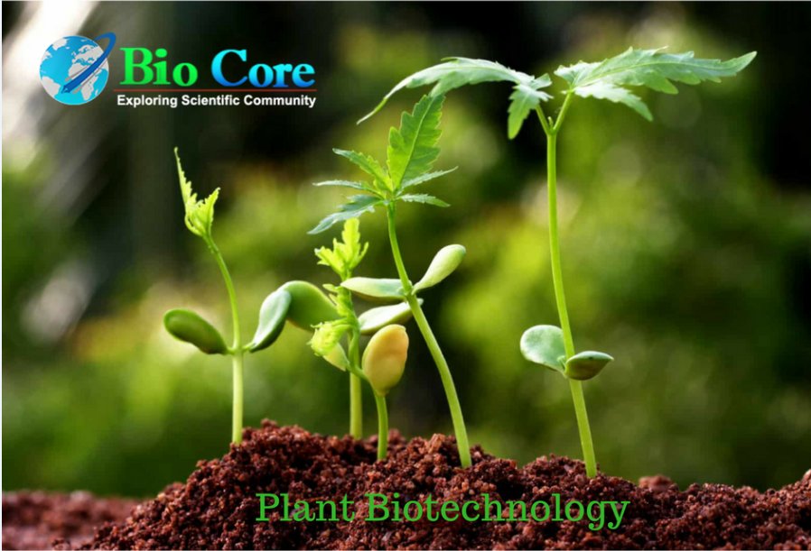 biotechijbb's tweet photo. Do you wish to submit your research in the best Biotechnology journal, it is here https://t.co/7uM3Krpir3
#Biocore_Group
#Biocore_Open_Access_Journals
#IJBB
#Biotechnology_Journal https://t.co/UD6yvyE8hi