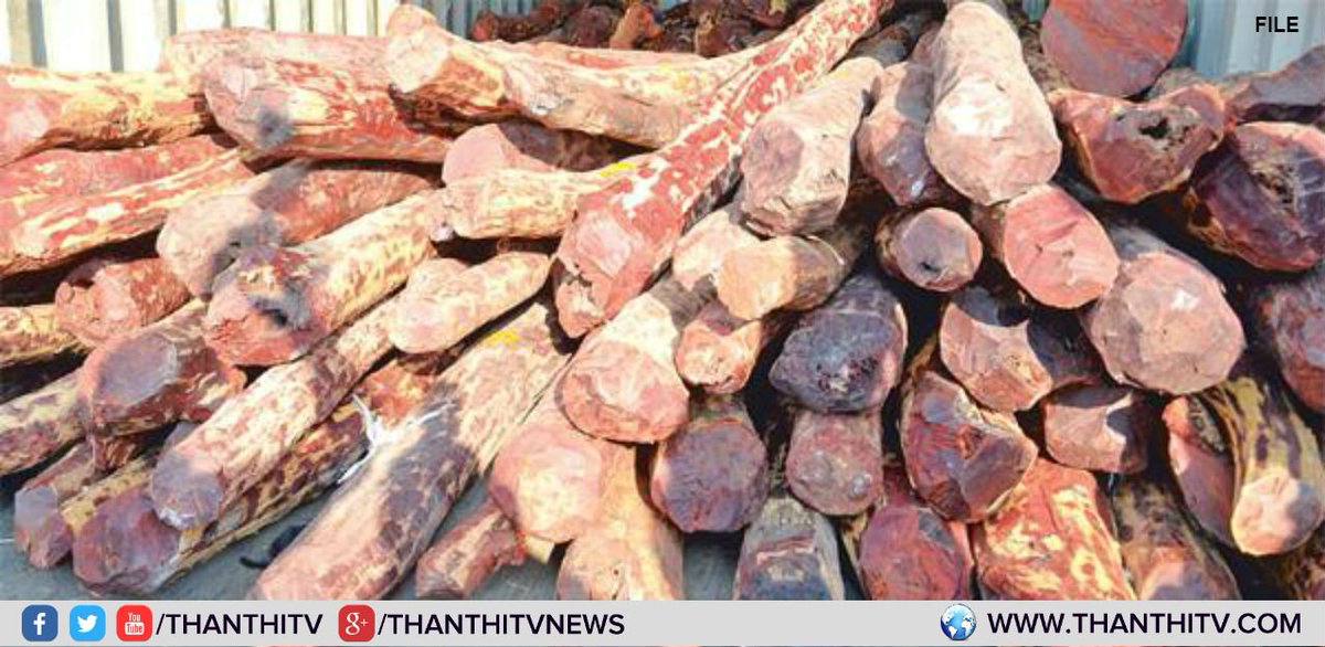 ThanthiTV's tweet photo. ஆந்திரா : கடப்பா அருகே முக்கிய செம்மரக் கடத்தல் குற்றவாளிகள் 12 பேர் கைது...

* ரூ.3 கோடி மதிப்பிலான செம்மரக்கட்டைகள், ரூ.38 லட்சம், 6 கார்கள், 2 லாரி பறிமுதல்...
#RedSanders #RedSandersSmuggling https://t.co/zog2KZMTwx