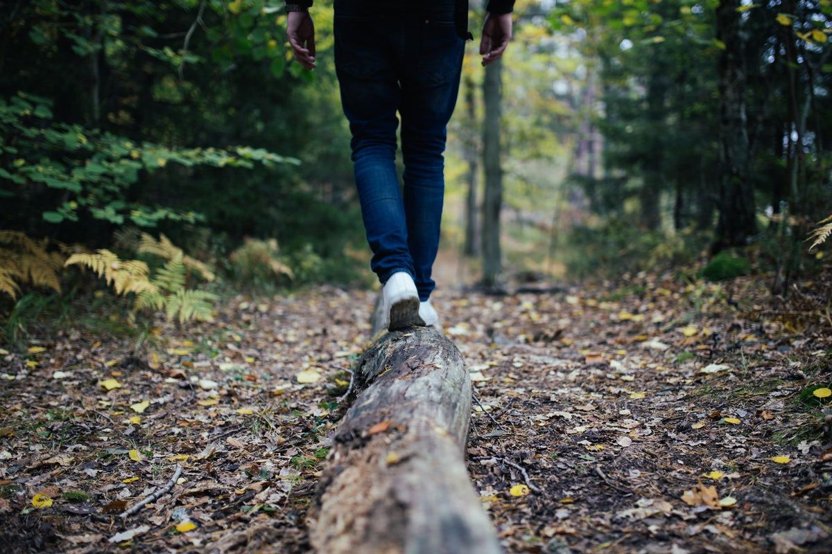 Hellowaysfr's tweet photo. "Le plaisir de marcher, tranquillement, au gré de ses envies, sans objectif précis" 🌳🌿
📷 @jonflobrant
#Helloways #citywilderness #nature https://t.co/6ATc4VFyGM