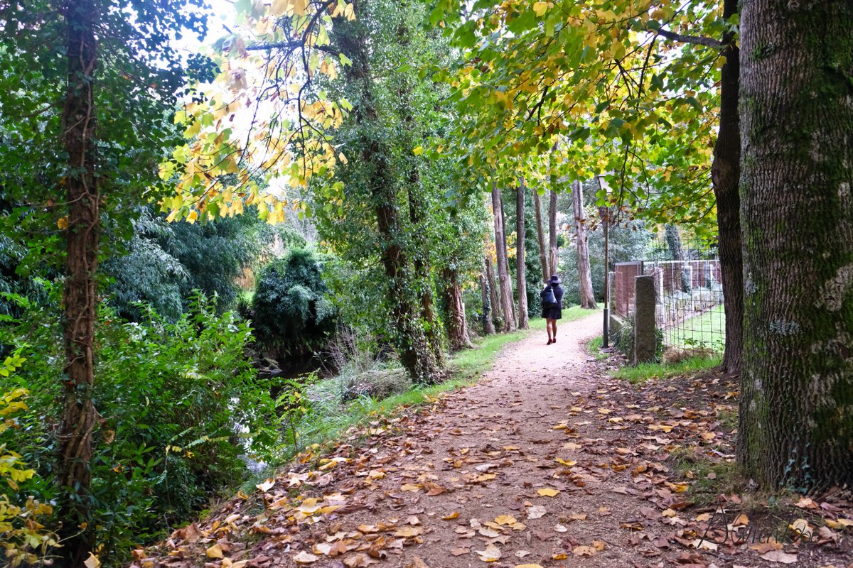 alvientooo's tweet photo. Post nuevo en el blog, esta vez desde Cuntis, turismo de interior en Rías Baixas. https://t.co/E9LhnNIKlq https://t.co/dnuMGKdBph