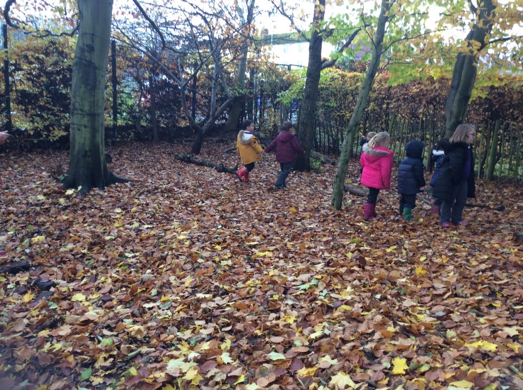 LisaProudman's tweet photo. Thinking about where we can make our fairy forest today in Reception. Using our PMI for ideas. #noticingtorch https://t.co/xv1w2FWXMS