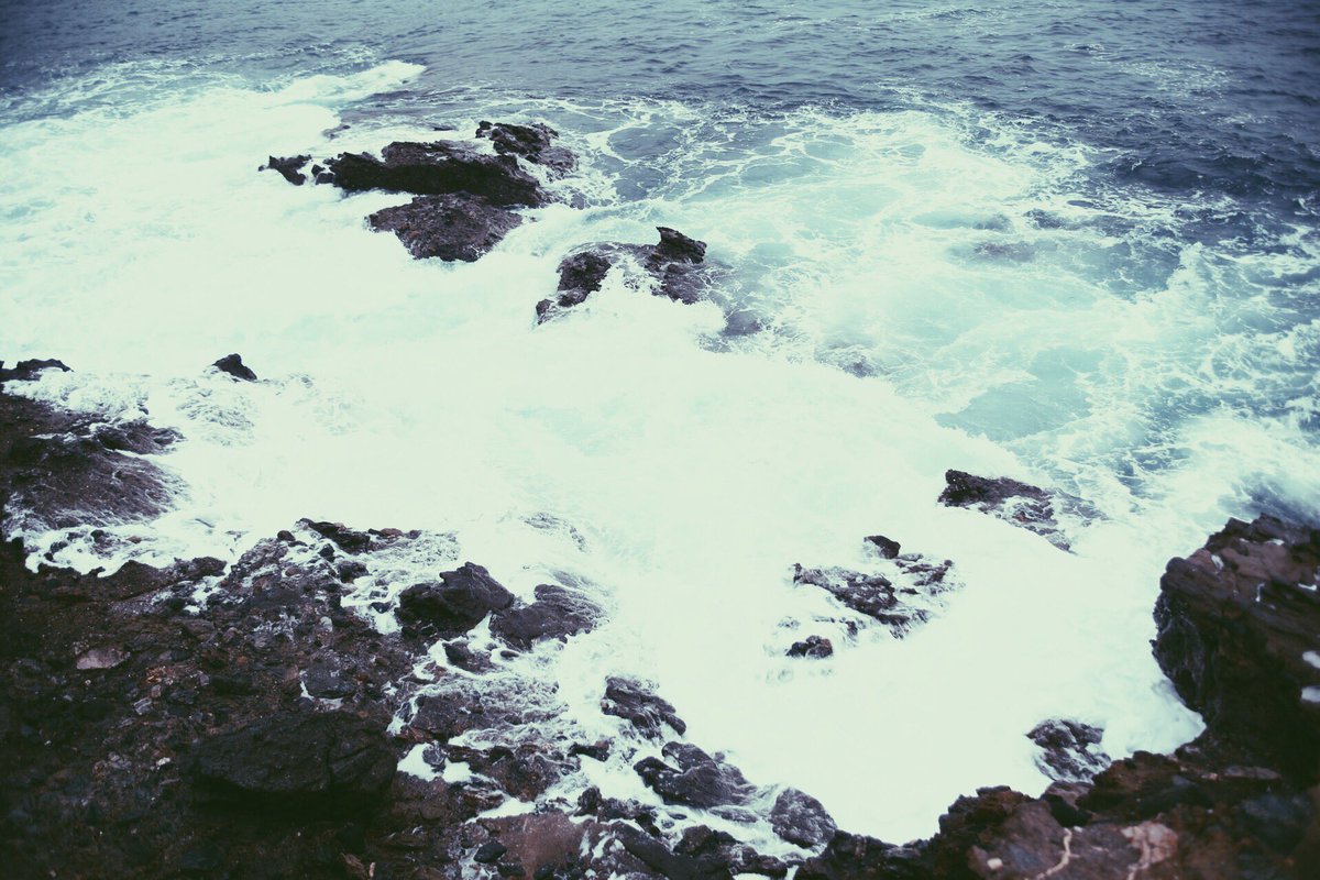 californiaVSCO tweet picture