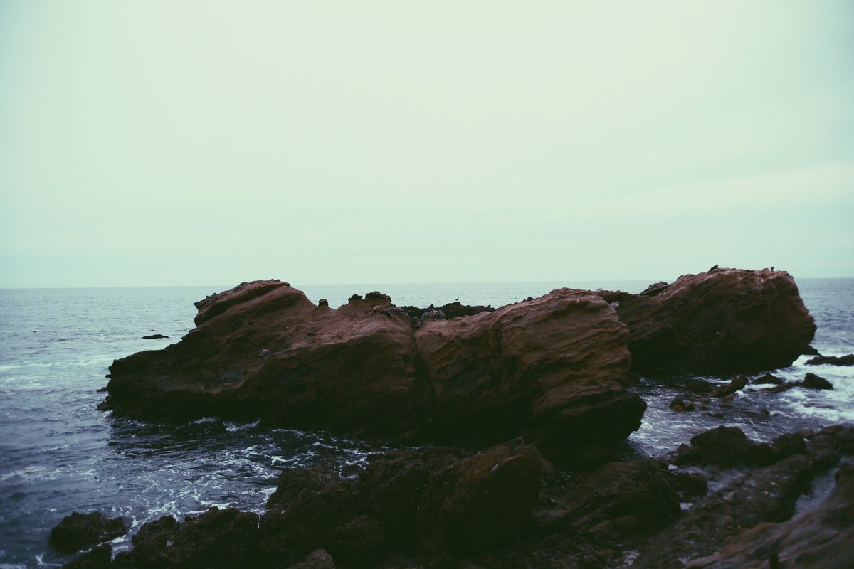 californiaVSCO tweet picture