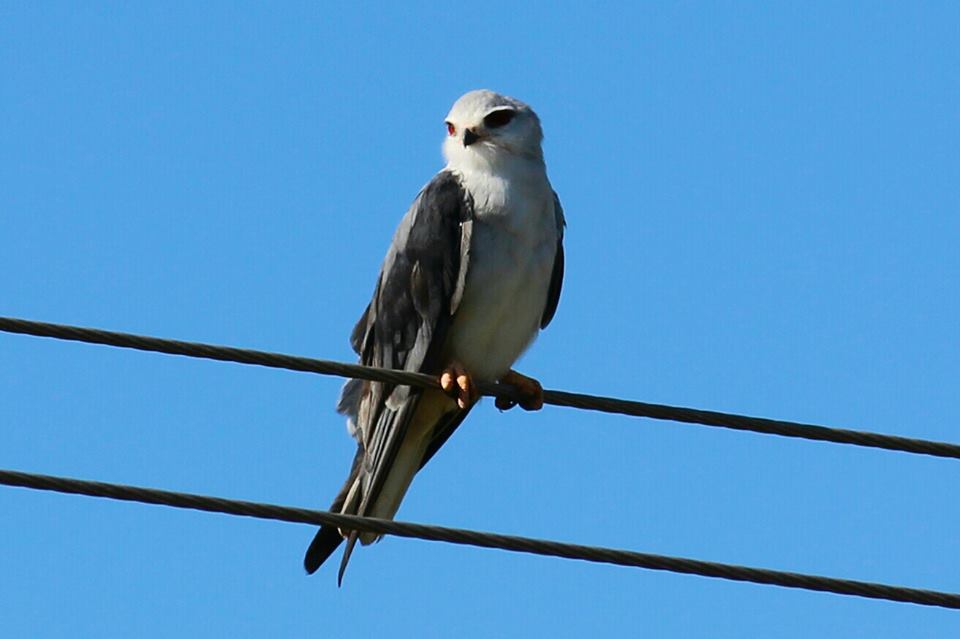 GreyGooseLodge's tweet photo. Our wonderful nature here at the Grey Goose Game Lodge with our loving animals😀 https://t.co/T1hGL05Z88