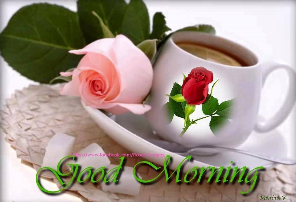 Deborah_225's tweet photo. Good Morning https://t.co/xGDFrOWP17