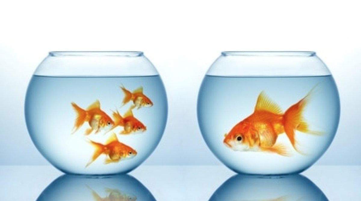Wat is belangrijker bij #sourcing, kwaliteit of kwantiteit? 

Je leest het hier: #recruitment
sourcecon.com/sourcing-quali…