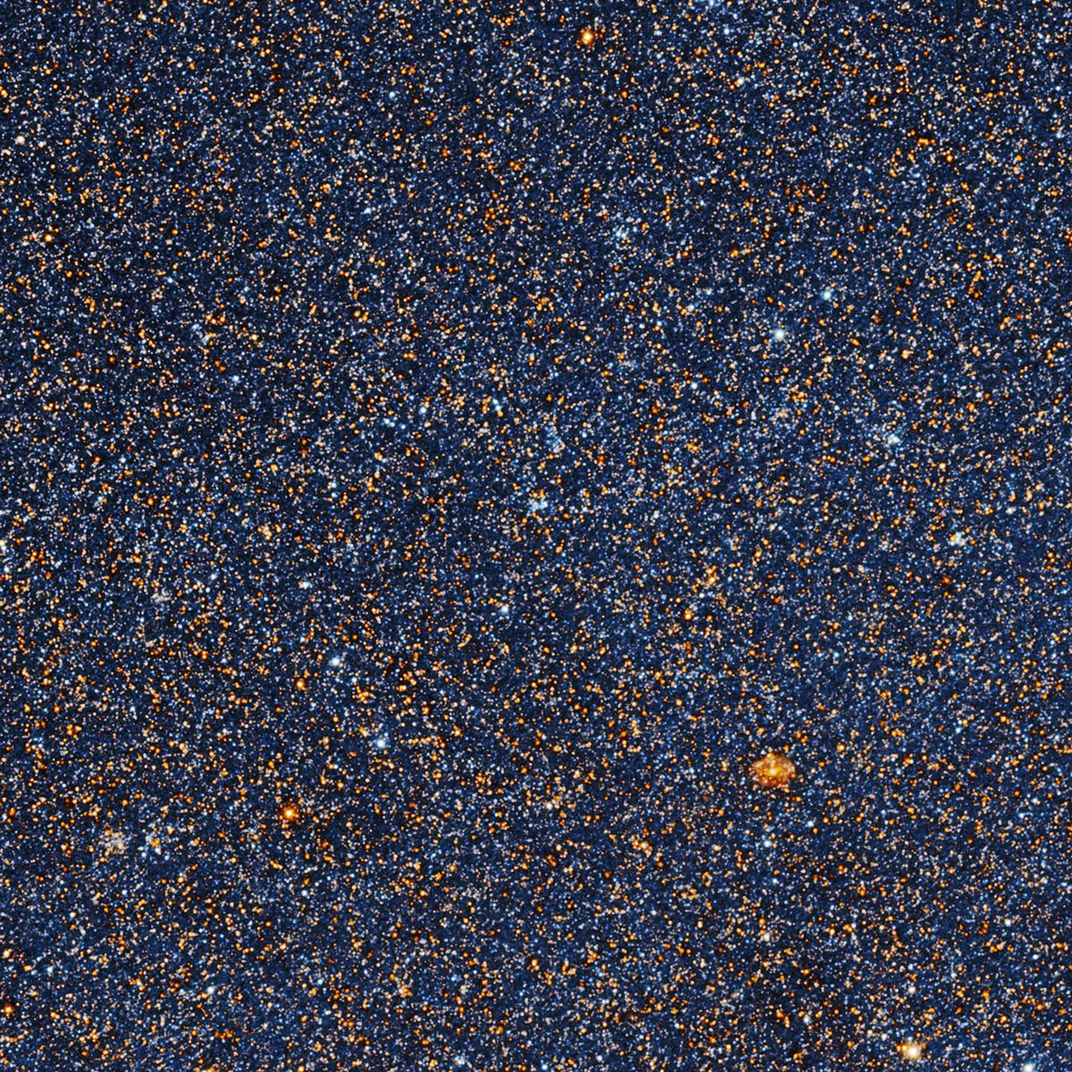 ✸Andromeda✸ tweet media