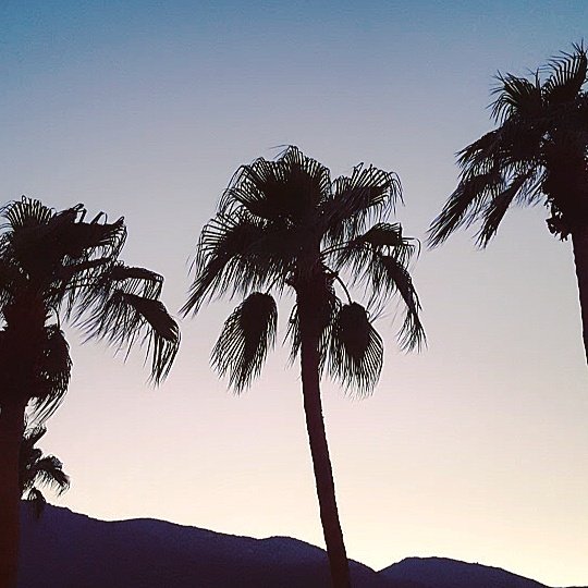 ABELINA_NINE's tweet photo. LA part: II is up on the blog. Our favourite places to visit for sun; food and cocktails. Still dreaming about this beastly City. #visitcali #LA #holiday 😍🌴🍹 https://t.co/M8GslNq2pZ