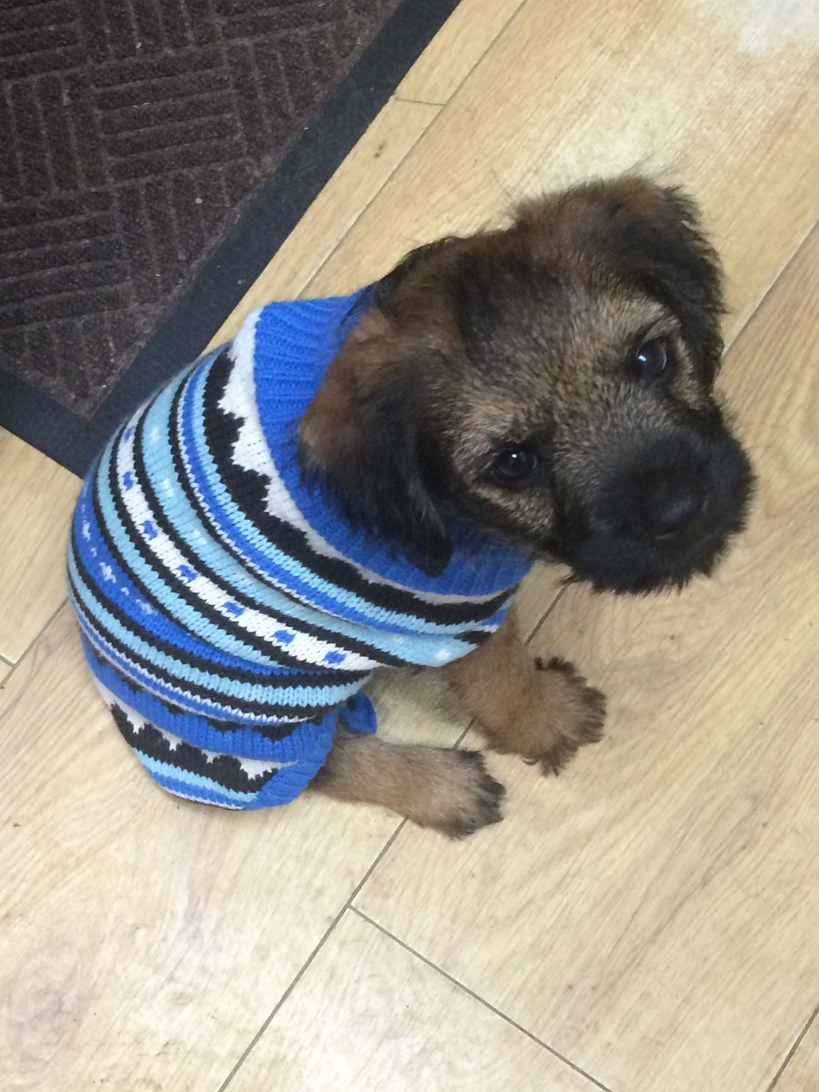 mac_brooke4's tweet photo. Is cowld at me werk pals so I got a jumper...me mam keeps laffing an sayin I look like Val Doonican 🤔 https://t.co/GYQRzk0qDP