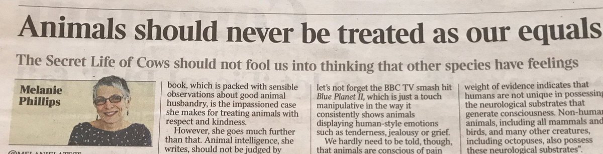 She has a point. As, judging by this article, most of them are brighter than Melanie.