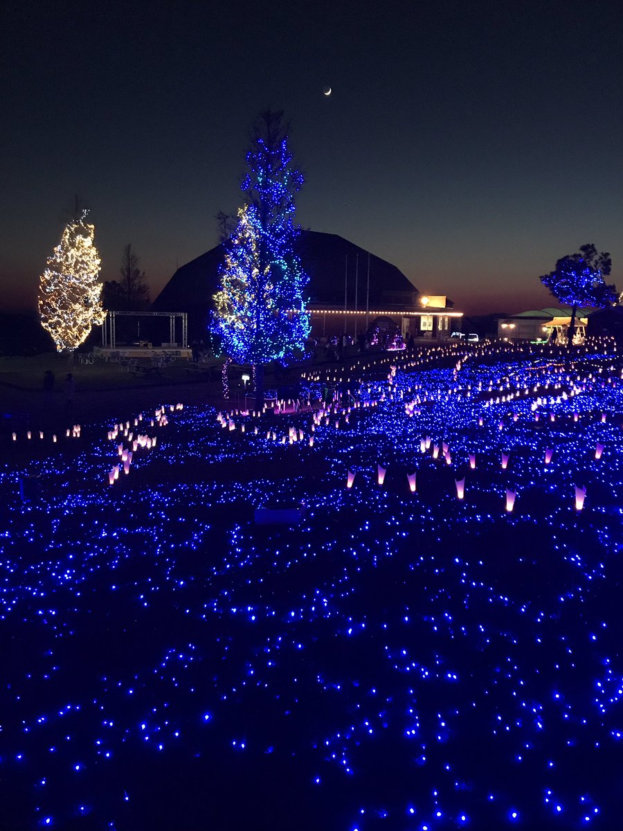 綺麗なクリスマス イベント 千葉 すべてのイラスト画像