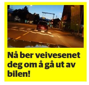 sjuktkritisk's tweet image. Ikke gjør det, det er ei felle. #kiwi #torstrand #mørkt