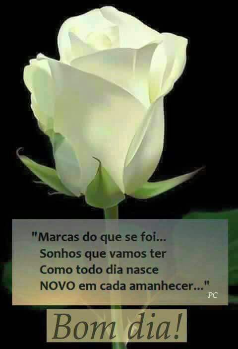 #ParceirosBeta  #BetaQuerLab