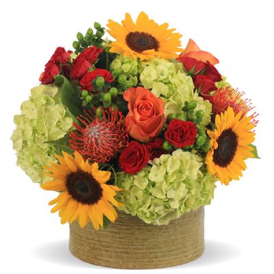 FloweramaColumb's tweet photo. What can you make out of Full Bloom #Hydrangea, #Sunflowers, #HypericumBerries #Roses and #Protea? Here is what we came up with. What do you think? #FallFlowers #FloristColumbus #SameDayDelivery https://t.co/ZbYSsOj2XI