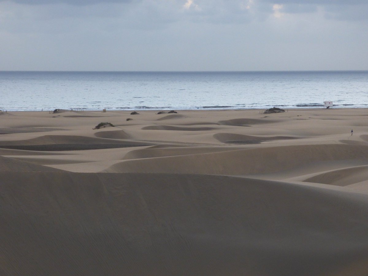 bermaxo09's tweet photo. Segundos antes de salir el Sol  en las Dunas @Maspalomas #GranCanaria  #Photography #Fotografia #CanaryIslands @EarthandClouds #PintoFotografia #500pxrtg #naturaleza  #beaches #holidays #travel #Turismo #ecosistema  #MaspalomasDunes @paisajecanario #Relax @canariassecret https://t.co/RMFS5zCewc