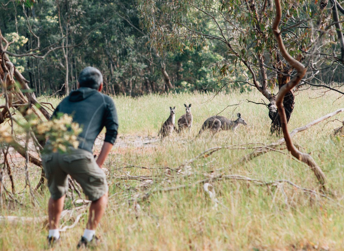 Excited to launch #airbnbexperiences in Melbourne today. With more than 60 activities led by local <a href="/Airbnb/">Airbnb</a> hosts, guests &amp; local Melburnians can unlock the city's unique food, fashion culture &amp; sports 
press.atairbnb.com/airbnb-and-cel…
