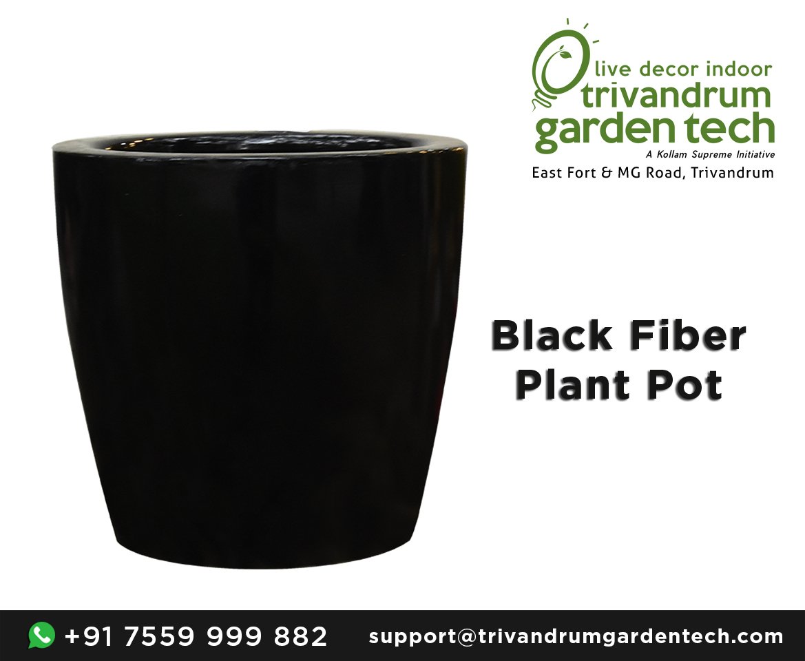 tgtstyleclub's tweet photo. Black Fiber Plant Pot ... https://t.co/97QN0yIfpN #IndoorPlant #FiberPot #BlackPot #PlantPot #LivePlant #LiveDecor #TrivandrumGarden #GCP #TuesdayThoughts #DalveerBhandari #SwagSeSwagat https://t.co/hZuy7MPkJX