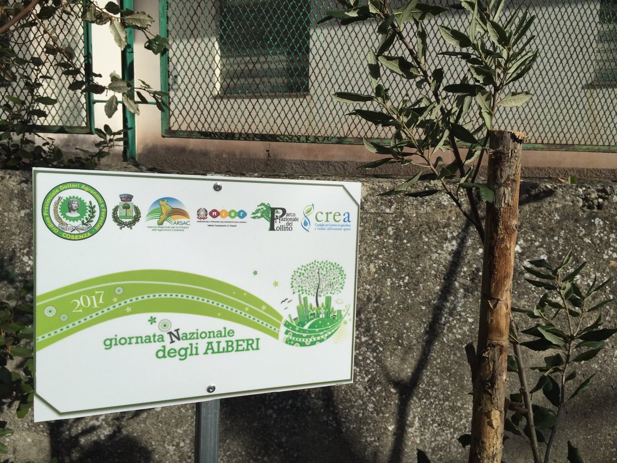 Ordine Agronomi CS tweet media