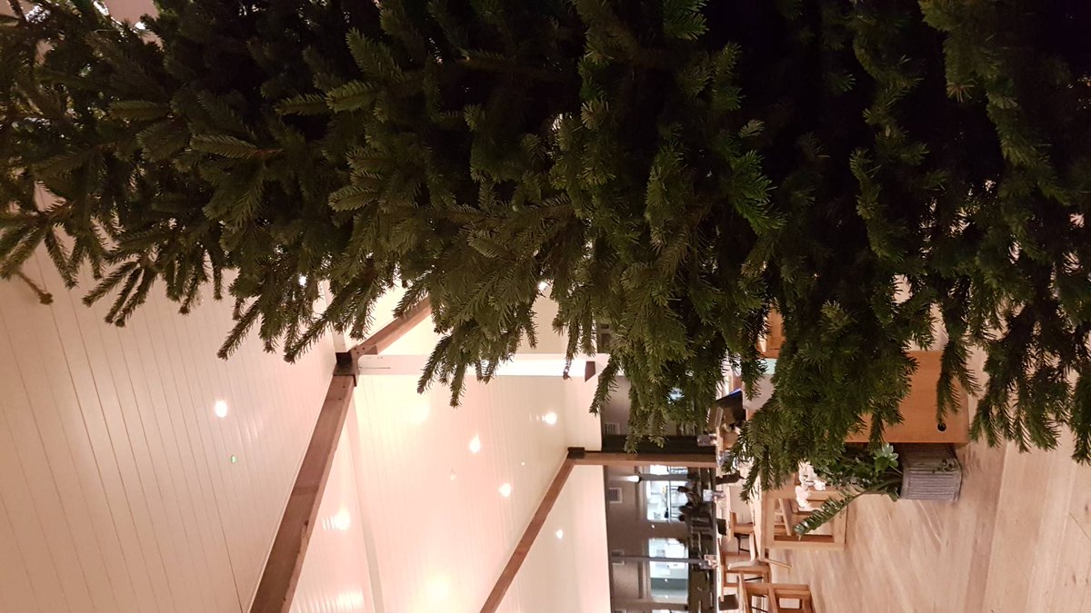 suffolkfoodhall's tweet photo. The Christmas tree is up in The Cookhouse! And it's a biggun. Some say 12ft some say 11. All I know is that I can't reach the top... https://t.co/Ahoxr3Q7qn