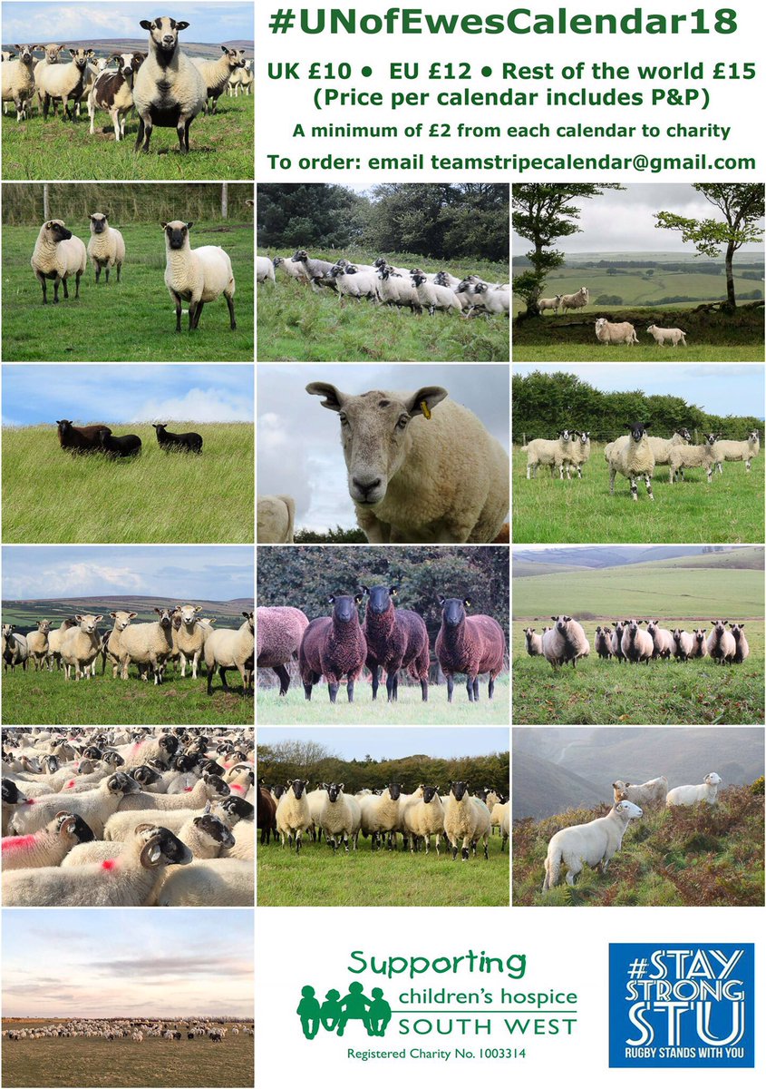 newlandfarm's tweet photo. #UNofEwesCalendar18 ๐ฌ๐งยฃ10 ๐ช๐บยฃ12 ๐ยฃ15 per copy including shipping
DM @newlandfarm or email teamStripeCalendar@gmail.com with any orders/queries ๐๐
#UNofEwes #Badgerfaced #Beulahs #Swaledales #Exmoor #StayStrongStu #CHSW #Sheep #Shepherd #Ewesday please RT https://t.co/D2O4d4PIPE