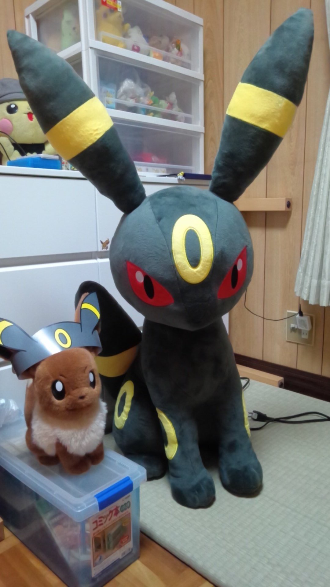 るり Sur Twitter はじめて買ったポケモンぬいぐるみ それがイーブイでした 今ではもうボロボロで人目に出せませんが 等身大イーブイ 先日やって来た等身大ブラッキー そして一週間いないに届くであろう等身大サンダースが生涯の宝物になる予定です D