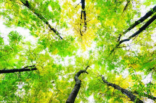 PsapphaEnsemble's tweet image. Why not book ahead for Feb 15th, tickets are at #EarlyBird Prices! psappha.com/event/caught-i…