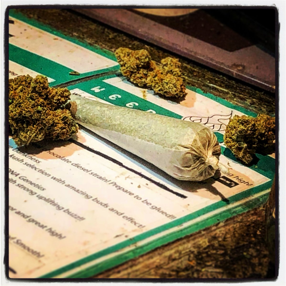 Grey Area Coffeeshop tweet media