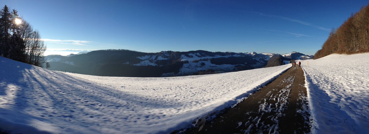 Iliandir's tweet photo. View from work today #lovemyjob #swissvetlife
The dog enjoying the #snow #workingdog #lovemydog https://t.co/dXYpXrsD5C