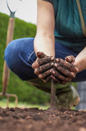 greenleafrecycl's tweet photo. At GreenLeaf Recycling, we've found that using our horse manure from our on-site Livery Yard @LF_equestrian has enriched our unique #compost and #soilconditioner!
Find out the benefits and what else you can use to enrich your soil via @theobserver 🌱 
https://t.co/I4p0cFqmcK https://t.co/8A1iw6wtjQ